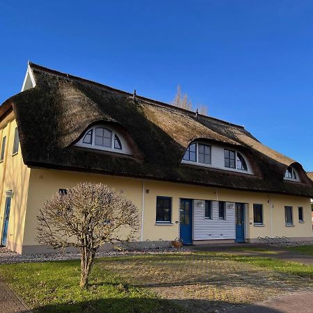 Reetdachhaus Holunder 2 Villa Puddemin Exteriör bild